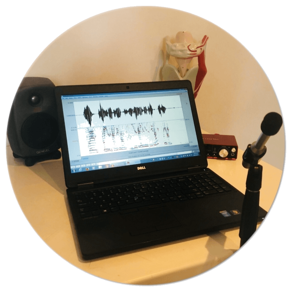 Speech Pathology assessment of voice disorders